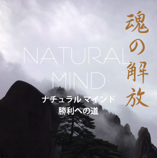 NATURAL MIND「ビジネス/成功」